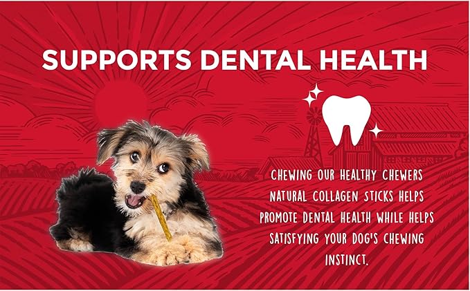 Rewardables, Healthy Chewers, Natural Collagen and Beef Sticks for Dogs, High Protein and Limited Ingredient Dog Chews, 100 Count (Pack of 2)