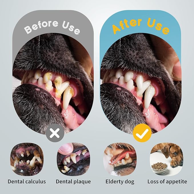 UNINGOPI Dog Tooth Brushing Kit, 3 in 1 Dog Electric Toothbrush with Water Flosser, Dog Teeth Cleaning Tools with 3 Modes, Deep Cleaning Kit for Dogs and Cats, IPX7, Black