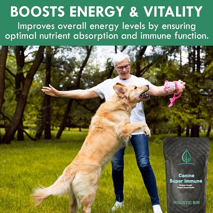 Holistic Bin Canine Super Immune Blend | Nutrient-Rich Dog Food Toppers, Plant-Based Supplements for Pets | Greens, Mushrooms and Probiotic Wellness Blend | Ideal for Aging Dogs | Immune Powder (100g)