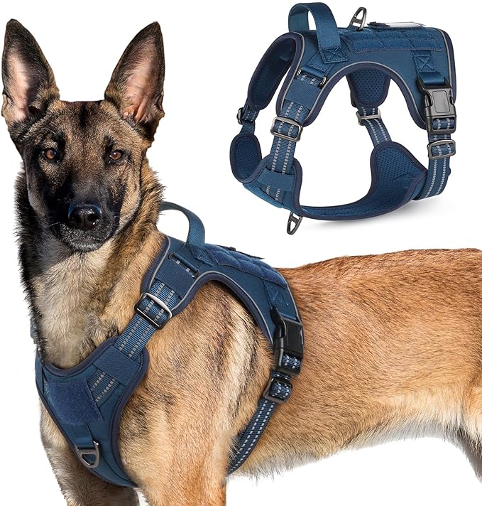 rabbitgoo Tactical Dog Harness for X-Large, No Pull Military Service Vest | Molle & Handle, Heavy Duty, Adjustable, Reflective Straps, Easy Control for Training Walking, Blue, X-Large