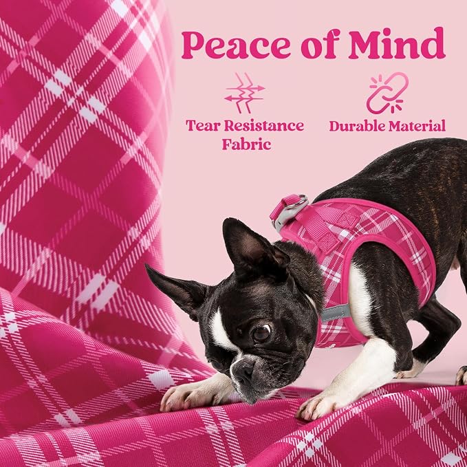 rabbitgoo Step-in Small Dog Harness, Puppy Vest for Small Sized Pet | Easy Put on and off, Lightweight, Soft, Breathable Quick-Dry Air Mesh for Comfortable Secure Walking, Rose Red Plaid XS