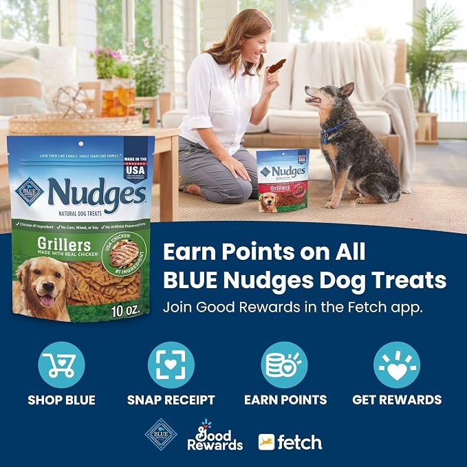 Blue Buffalo Nudges Jerky Cuts Dog Treats, Made in the USA with Natural Ingredients, Chicken & Duck, 16-oz Bag, (Pack of 4)
