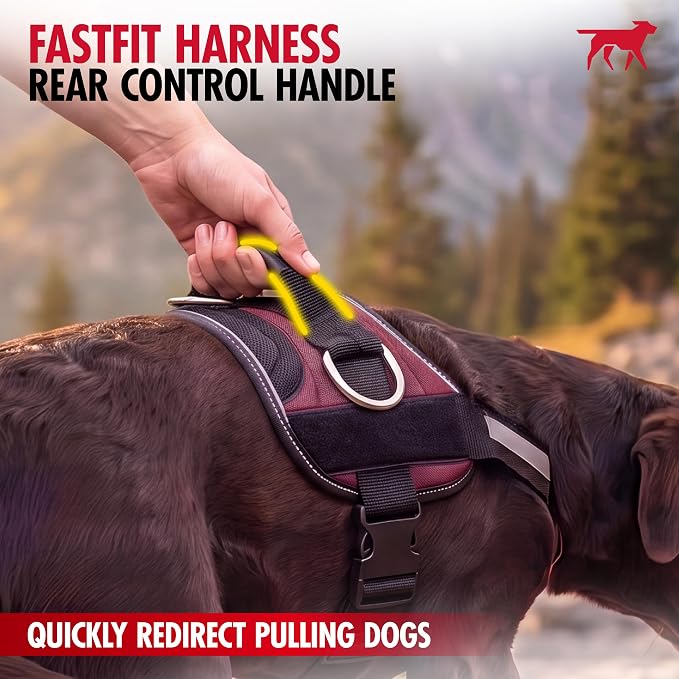 Tuff Pupper Fast Fit No Pull Dog Harness, Escape Proof, Reflective, Blue