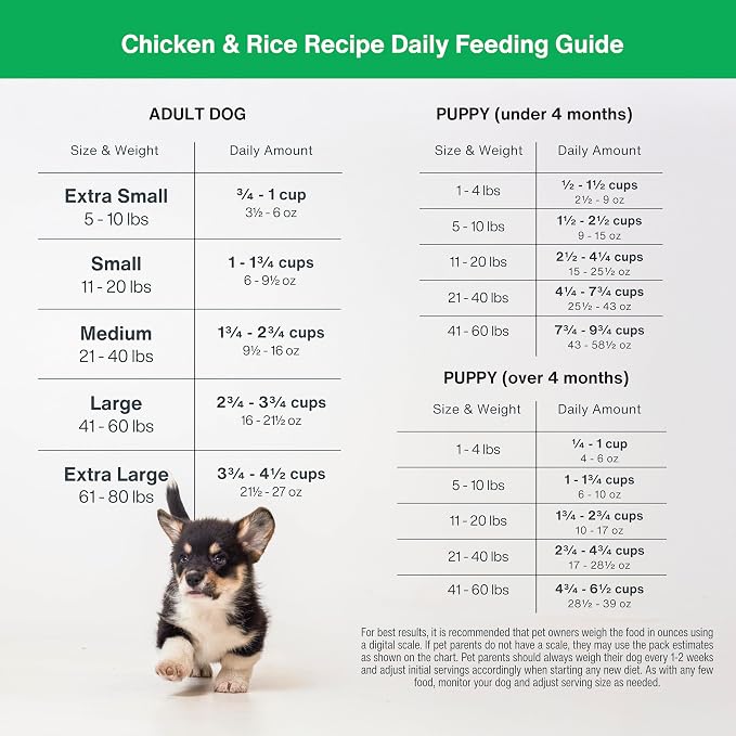 JustFoodForDogs DIY Nutrient Blend for Homemade Dog Food, Chicken & White Rice, (Pack of 2)