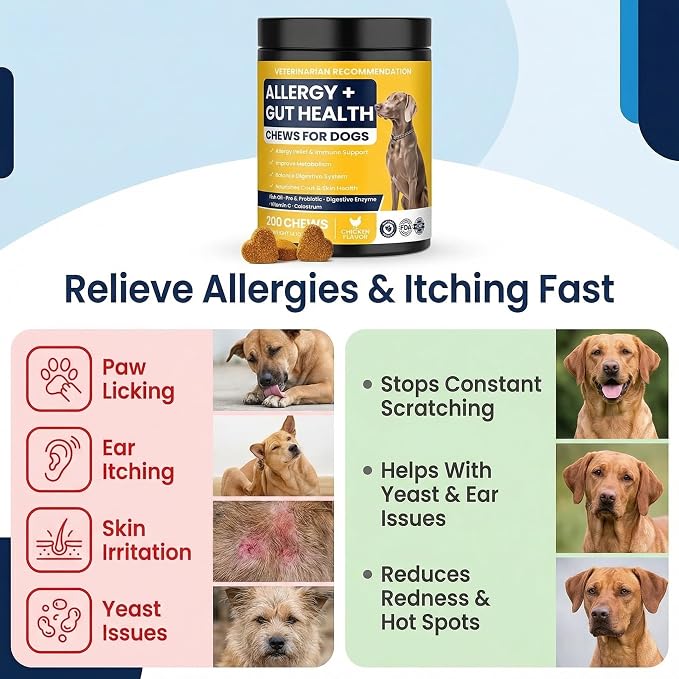 Dog Allergy Chews for Dogs, Itchy Skin & Paw Licking Support, Probiotics for Dogs, Immune & Gut Health, Seasonal Allergy Support, Skin & Coat Health, Chicken Flavor Soft Chews, 200 Ct