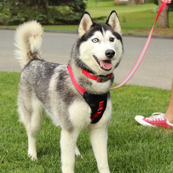 Pawtitas Reflective Padded Dog Harness for X-Small Dogs – Adjustable Puppy Step-in Vest | Fits Chest 14–18 in | No Pull Training Harness | XS | Green
