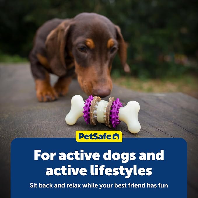 PetSafe Busy Buddy Bristle Bone Dog Treat Holding Chew Toy, Medium | Toothbrush-In-A-Toy Design Helps Clean Teeth While Dog Chews, Holds Treat Rings, Durable, Interactive Play, for Dogs 25-50 Lb