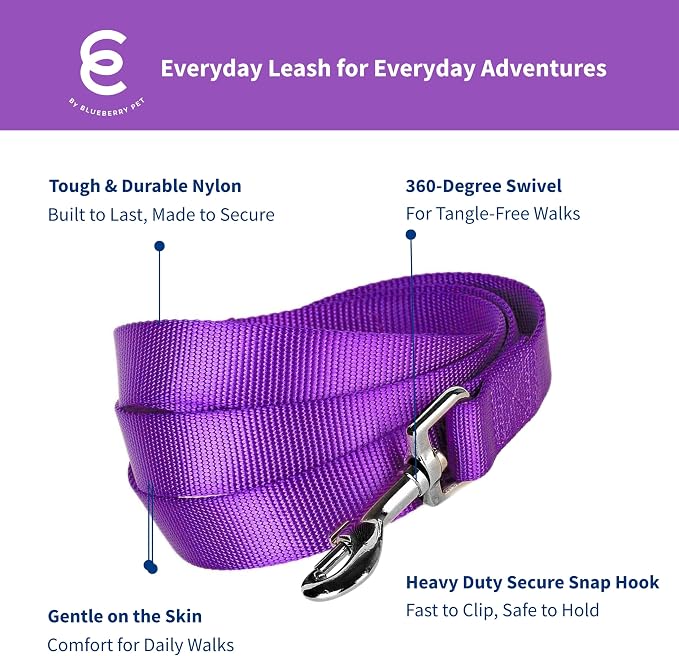 Blueberry Pet Essentials Dark Orchid Dog Leash for Medium - 5' * 3/4" Dogs | Heavy Duty Nylon Lead | Lightweight Puppy & Cat Leash for Walking & Training