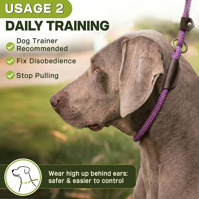 Fida Durable Slip Lead Dog Leash Bulk Pack of 5, Heavy Duty 1/2" x 6 FT Comfortable Strong Rope Slip Lead for Large, Medium Dogs No Pull Pet Training Leash with Highly Reflective, Purple