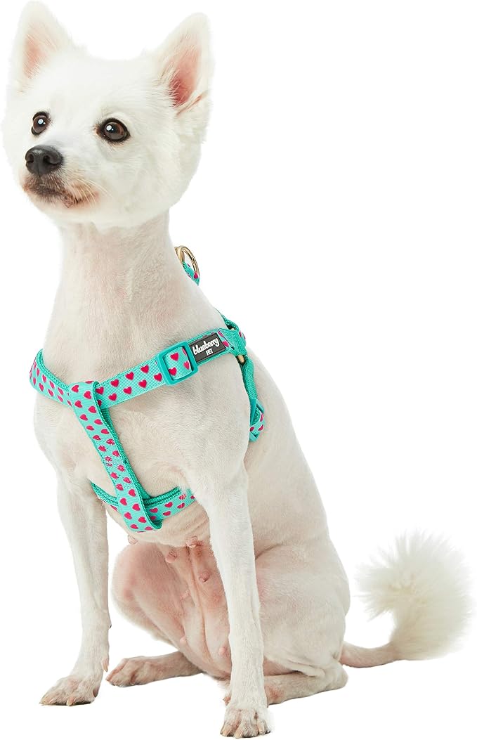 Blueberry Pet Step-in Dog Harness Velvety Heart Flocking Valentine’s Day Adjustable Harnesses for Medium Dogs, Mint Green, Chest Girth 20" - 26"