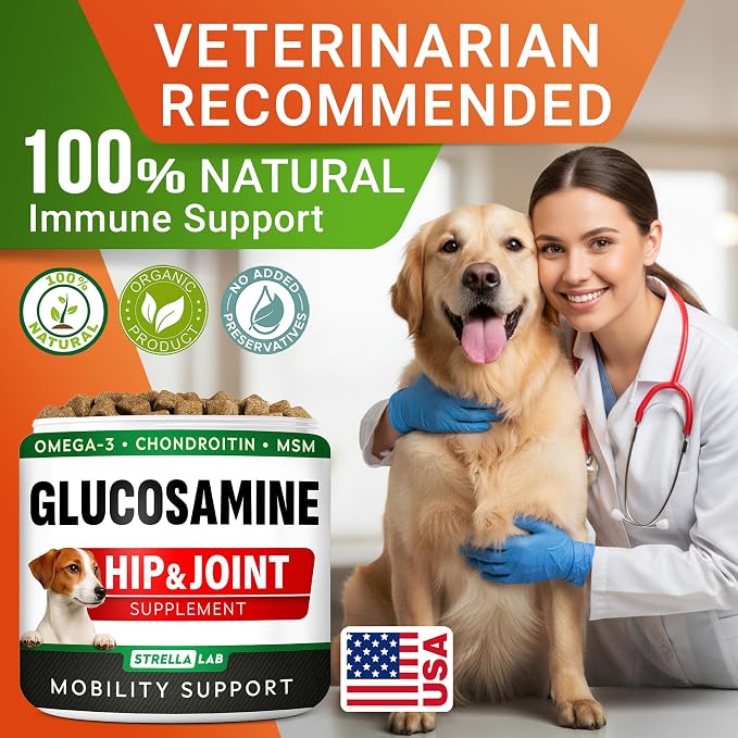 Glucosamine Treats for Dogs - Joint Supplement w/Omega-3 Fish Oil - Chondroitin, MSM - Advanced Mobility Chews - Joint Pain Relief - Hip & Joint Care - Chicken Flavor - 120 Ct - Made in USA