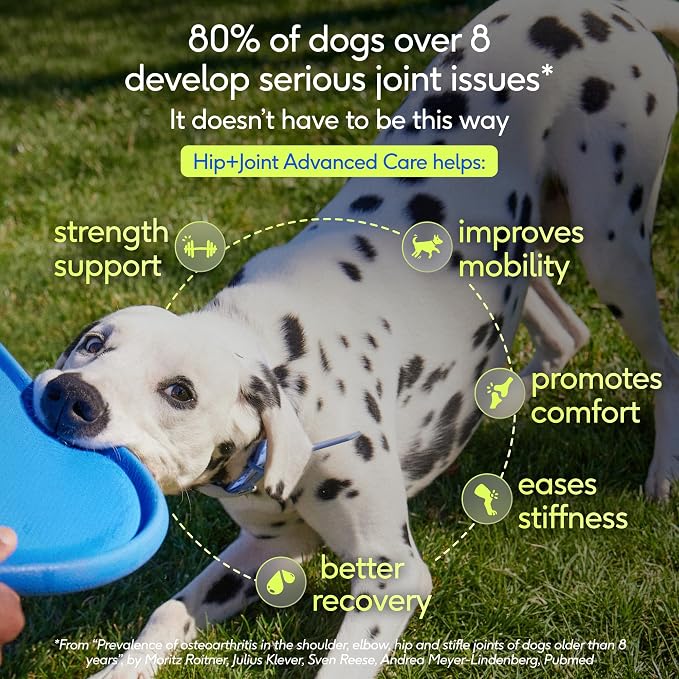 Native Pet Hip and Joint Supplement Dogs - Powder with UC-II Collagen and HMB - Senior and Large Breed Dog Joint Support - Made in USA - 60 Scoops