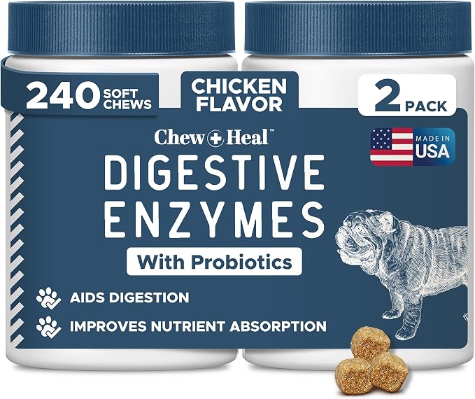 Pre and Probiotics for Dogs with Digestive Enzymes, 240 Soft Chews