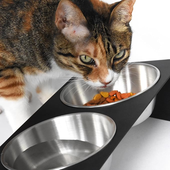 xympo Elevated Pet Bowl, for Cats and Small Dogs