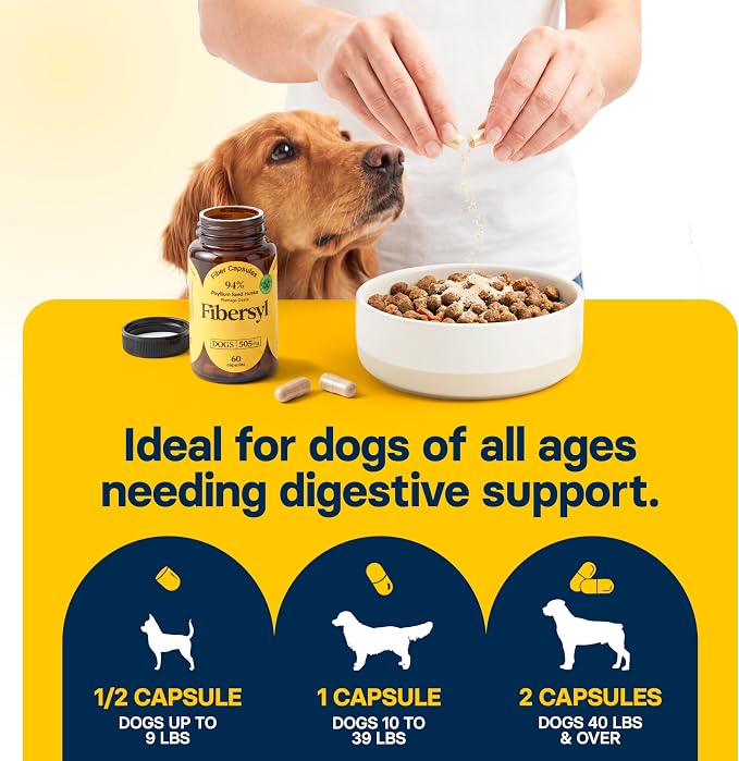 FiberSyl Prebiotics for Dogs - Psyllium Husk Fiber Supplement - 60 Capsules