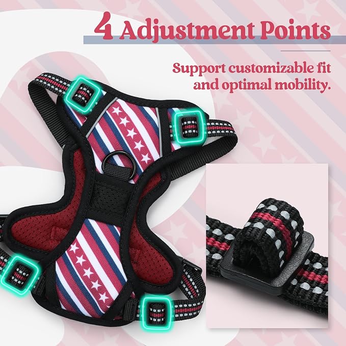rabbitgoo Dog Harness, No Pull for Small Dogs with 2 Leash Clips, Pet Vest | No Choke with Handle, Adjustable Soft Padded, Reflective, Easy Control for Walking, Red Stripe, X-Small
