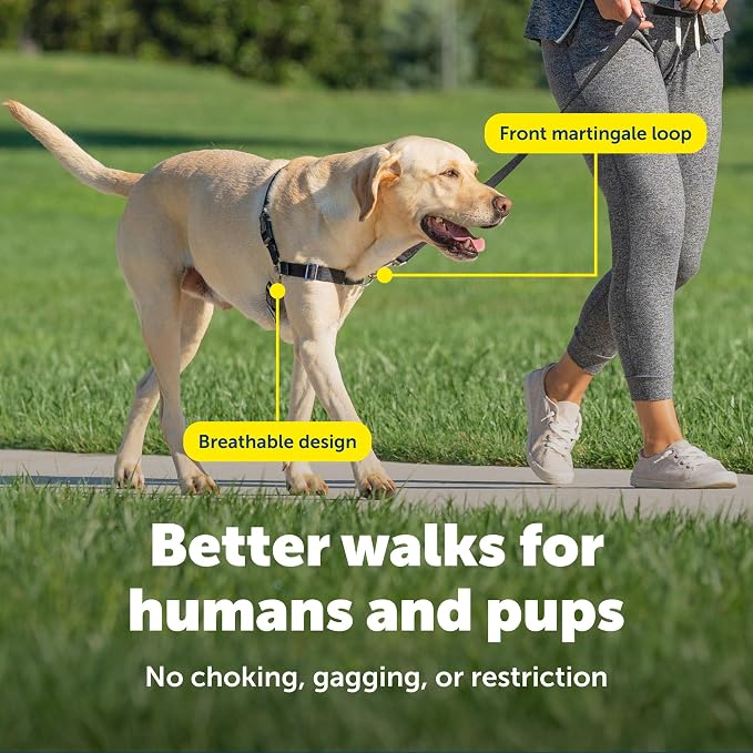 PetSafe Easy Walk Harness for Dogs - Pull-Free Walks - Patented Martingale Loop Design - Front Chest Leash Attachment - Comfort Straps - Breathable Harness Design - Large, Raspberry/Gray