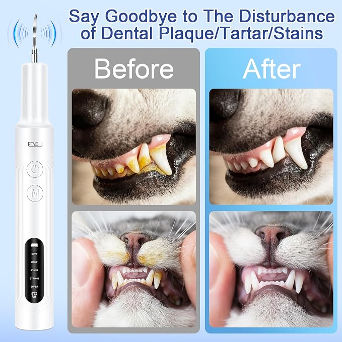 ETACCU Dog Plaque Remover for Teeth, Dog Plaque Remover Tool with LED Light, 5 Modes Teeth Cleaning Tools, Low Noise Pet Tooth Brushing Kit Dental Tools for Dog and Cat, White