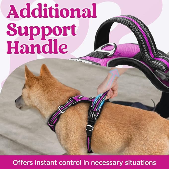 rabbitgoo Dog Harness Medium Sized, No Pull 3 Buckles Easy On & Off | Soft Padded, Walking with Control Handle, Adjustable and Reflective, Purple, Medium