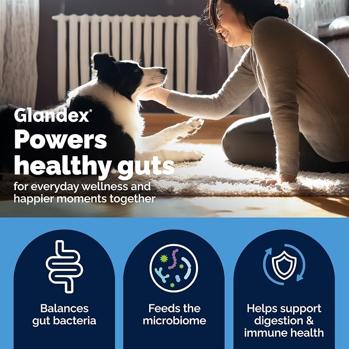 Vetnique Glandex Probiotic & Anal Gland Chews Bundle - 30ct + 30ct