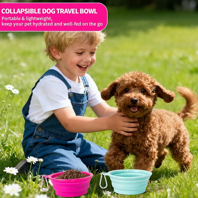 SLSON Macaron Collapsible Dog Bowl, 2 Pack, Small, Bright Pink & Bright Green