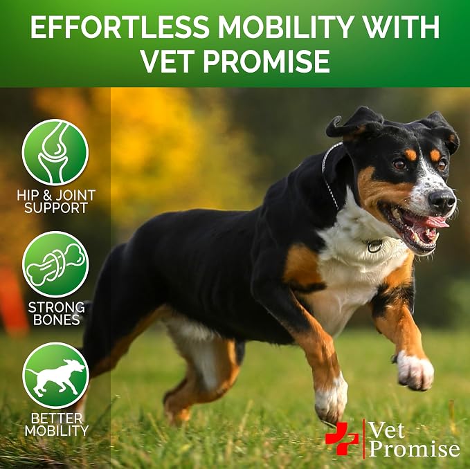 Glucosamine for Dogs - 170 Chews - Senior Hip and Joint Supplement for Dog