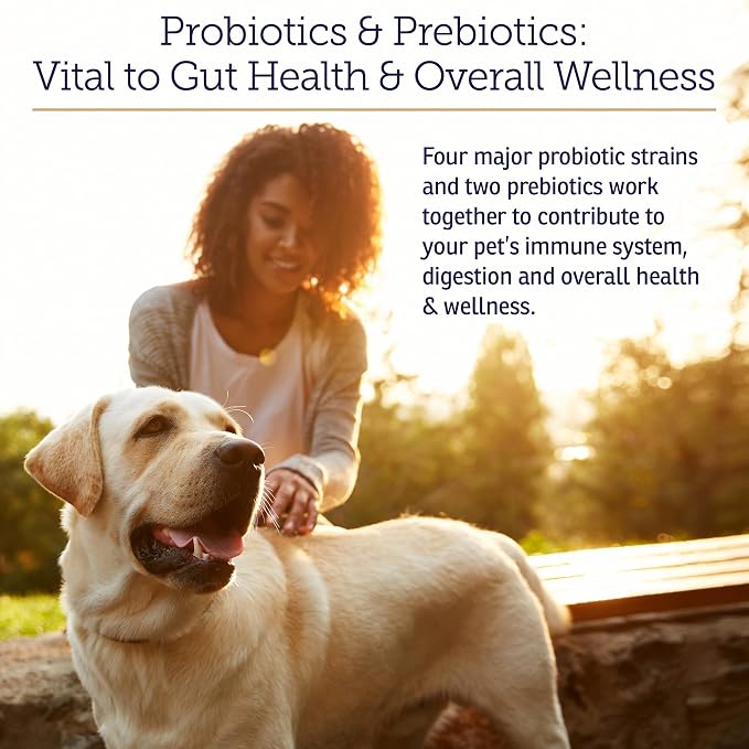 Rx Vitamins Rx Biotic - Probiotic Powder for Dogs and Cats - 1.25oz