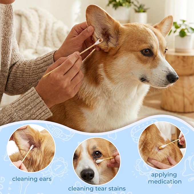 6 Inch Large Cotton Swabs for Dog Ear Cleaning, 100 Pcs