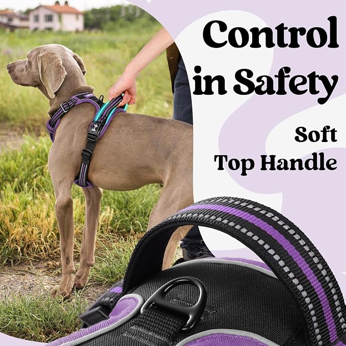 rabbitgoo Dog Harness Small Sized, Updated Easy On & Off with 3 Buckles | No Pull No Choke, Walking with 2 Clips and Handle, Adjustable Soft Reflective, Black & Purple, Small
