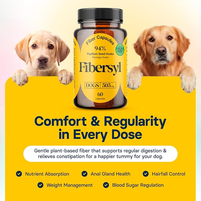 FiberSyl Prebiotics for Dogs - Psyllium Husk Fiber Supplement - 60 Capsules