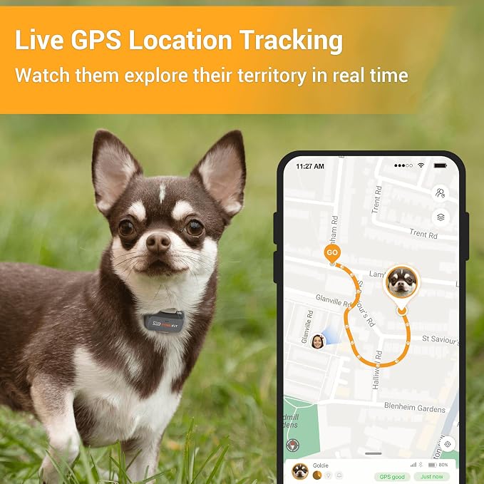 Pawfit Lite 4G GPS Dog Tracker, Live Tracking, Ultra-Light, Simply White
