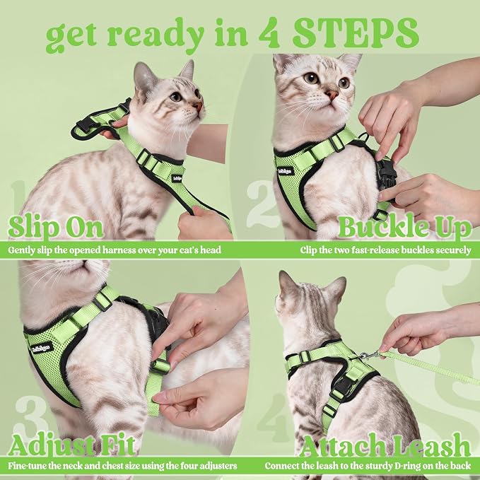 rabbitgoo Cat Harness and Leash Set, Escape Proof Vest, Light Green | Soft Breathable Mesh, Easy Adjustable Fit, Snap Buckles, Sturdy Clip, Reflective Strips, for Small & Average Cats Walks, Xs