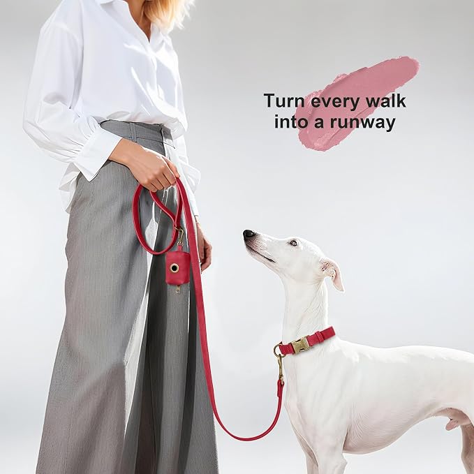 Didog Stylish Dog Poop Bag Holder for Leash, Easy-Pull and Colorful PU Leather Dog Poop Bag Dispenser with Metal Clip, Includes 1 Roll Pet Waste Bag for Daily Walking,Red