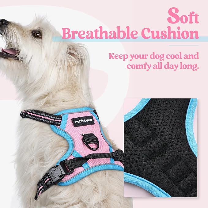 rabbitgoo Dog Harness, No Pull for Small Dogs with 2 Leash Clips, Pet Vest | No Choke with Handle, Adjustable Soft Padded, Reflective, Easy Control for Walking, Pink & Blue, X-Small