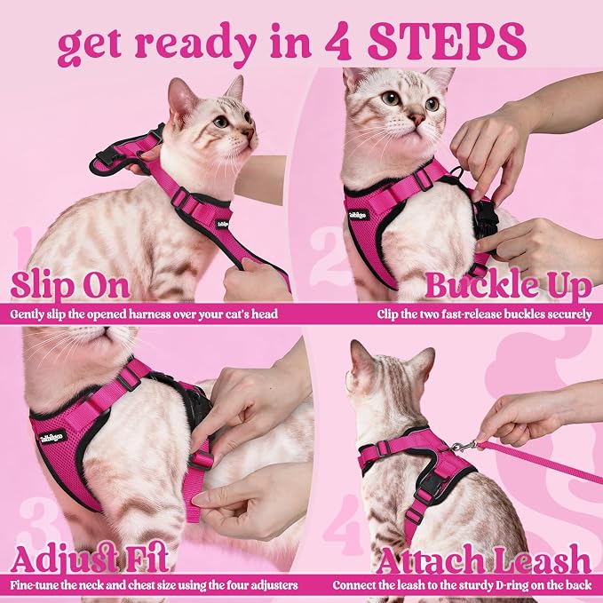 rabbitgoo Cat Harness and Leash Set, Escape Proof Vest, Rose Red | Soft Breathable Mesh, Easy Adjustable Fit, Snap Buckles, Sturdy Clip, Reflective Strips, for Average Cats Walks, S