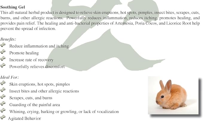 JADIENCE Dog, Horse & Cat Skin Soothing Gel: Homeopathic Treatment for Hotspots, Rashes & Sores | All Natural Pet Wound & Lesion Care | Provides Relief for Itching, Discomfort & Pain | EnlightAPet