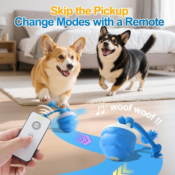 Interactive Dog Ball, Blue USB-C Rechargeable Rolling Toy | Touch activation starts rolling and chirping play modes for supervised indoor sessions