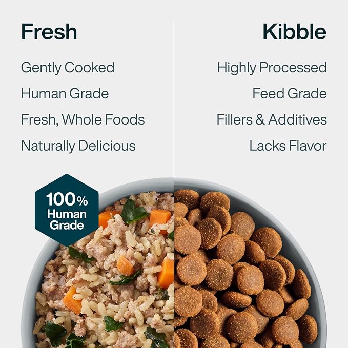 JustFoodForDogs JustFresh Wet Dog Food - Home-Cooked Beef & Chicken, 12oz (8-Pack)