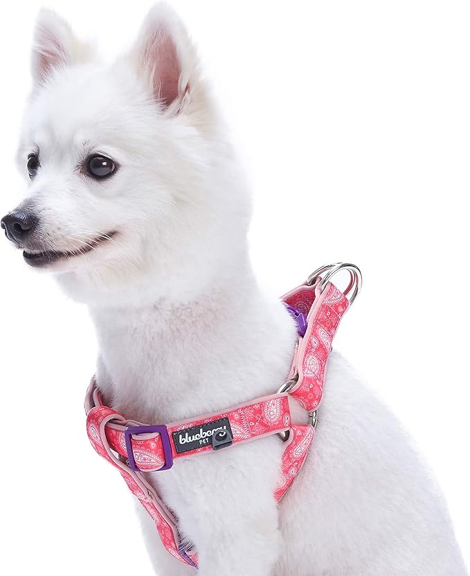 Blueberry Pet 5 Colors Soft & Comfy Step-in Paisley Flower Print Dog Harness, Chest Girth 19.5" - 25.5", Pink, Medium, Adjustable Harnesses for Dogs