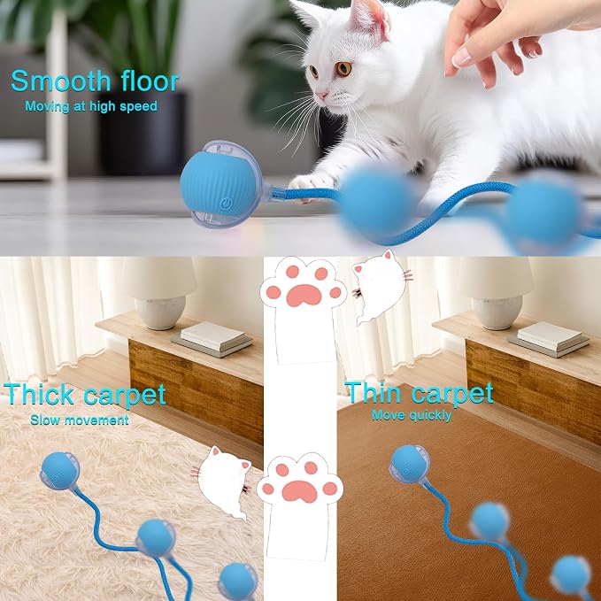 Interactive Cat Dog Toy Ball with LED Light, Automatic Rolling(Blue) | String Tail and LED Light Design, Motion Activated, Suitable for Interactive Indoor Pet Play and Exercise