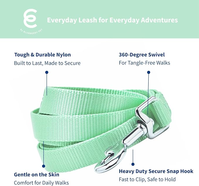 Blueberry Pet Essentials Pastel Green Dog Leash for Small -5' * 5/8" Dogs | Heavy Duty Nylon Lead | Lightweight Puppy & Cat Leash for Walking & Training