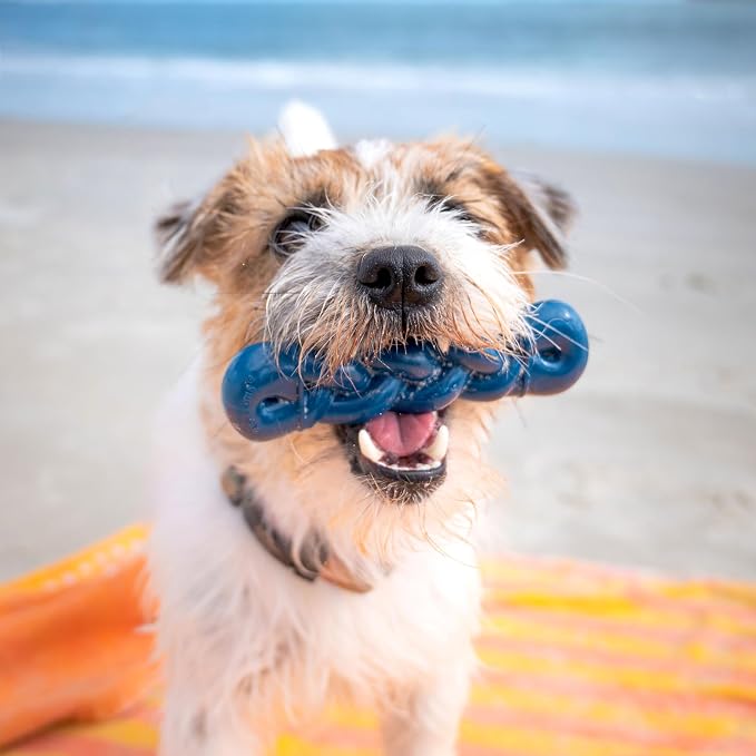 Nylabone Power Chew Love Our Oceans Bundle Dog Chew Toys, Medium, 3 Count | Bully stick, bacon, & salmon flavor, variety of shapes, durable chew toys, long lasting, for dogs up to 35 lbs