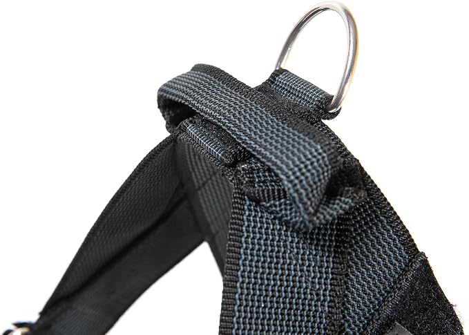 Julius-K9 IDC Color & Gray Belt Harness, Size: L/1, Black-Gray