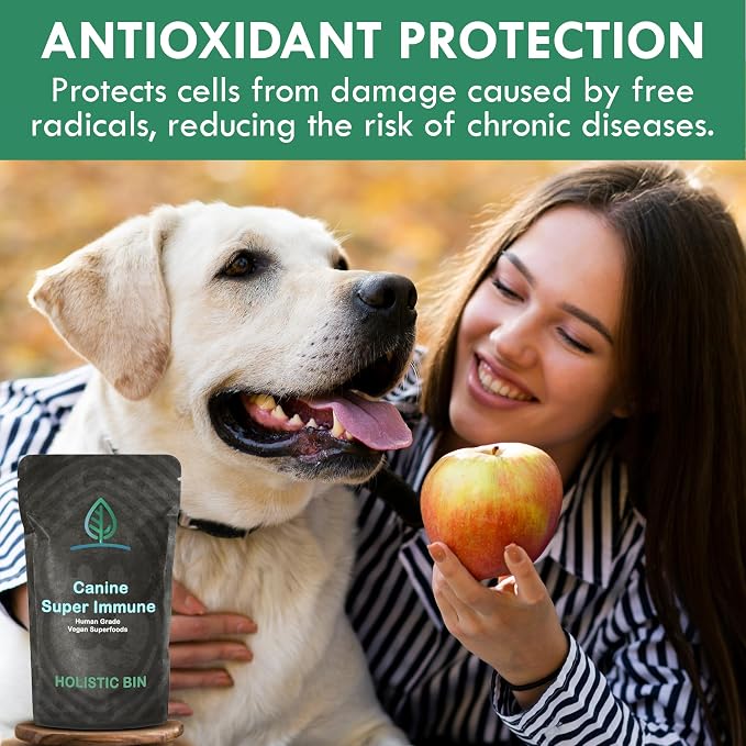 Holistic Bin Canine Super Immune Blend | Nutrient-Rich Dog Food Toppers, Plant-Based Supplements for Pets | Greens, Mushrooms and Probiotic Wellness Blend | Ideal for Aging Dogs | Immune Powder (100g)