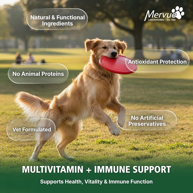 Mervue Multivitamin + Immune Support for Dogs (30 Day Supply) | Pre-Measured Medium Dog Vitamins in Gel Packets – Multivitamin for Dogs w/Beta-Glucans & Vitamin C for Energy & Healthy Coat
