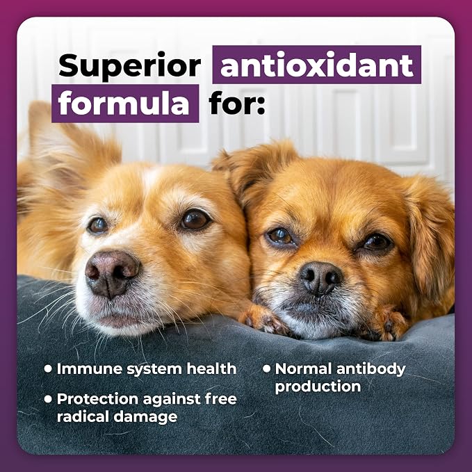 VetriScience Immunity Health Capsules for Small Breed Dogs, 120 Count | Immune Support Supplement for Medium & Large Breed Dogs with Vitamin C, CoQ10 & L-Lysine, Hypoallergenic Formula