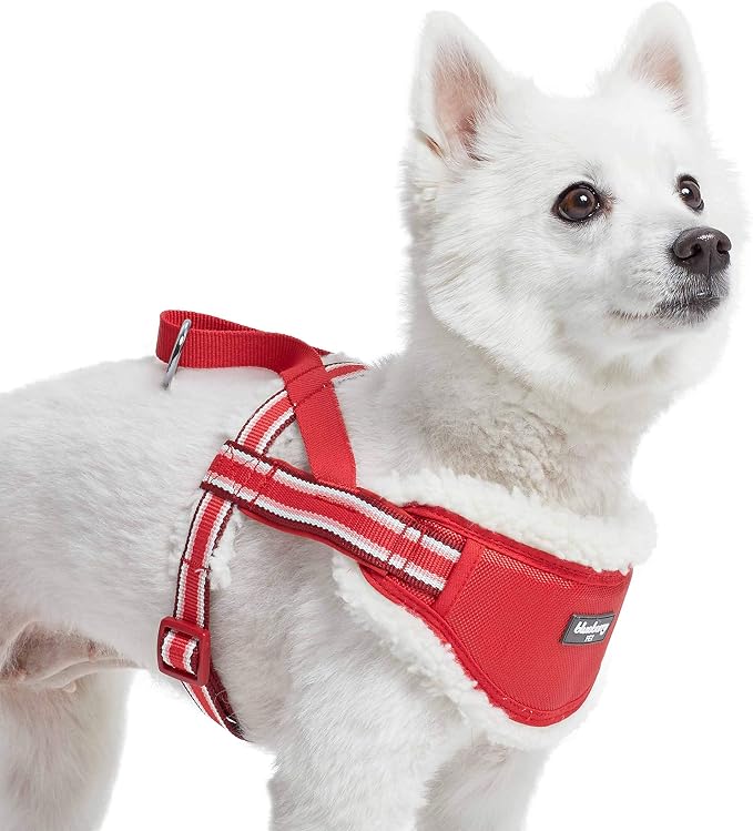 Blueberry Pet Soft & Comfy Multi-Colored Stripe Fleece Padded Chest Dog Harness, Chest Girth 20.5" - 26", Red, Medium, Adjustable No Pull Training Harness for Dogs