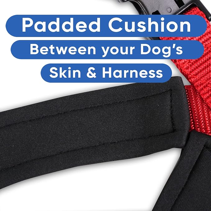 Pawtitas Reflective Padded Dog Harness for X-Small Dogs – Adjustable Puppy Step-in Vest | Fits Chest 14–18 in | No Pull Training Harness | XS | Red