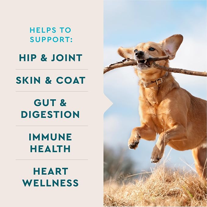 VetIQ Multivitamin for Dogs, Brain, Immune & Digestive, 90ct | Supports active brain function, immune & digestive health; daily multivitamin chew; hickory smoke flavor; made in USA