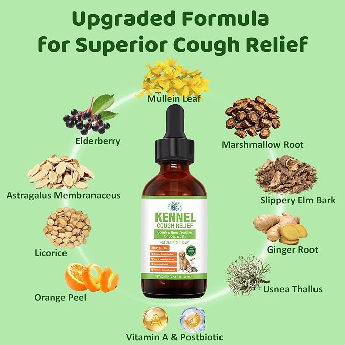 Dog Cough Relief Liquid Drops - Kennel Cough Treatment for Dogs & Cats - Better Absorption Than Soft Chews - 9 Natural Herbs with Postbiotics - 120mL/4.1 fl oz Value Pack for Respiratory Support